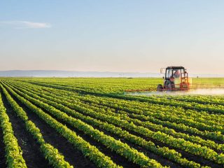 agriculture